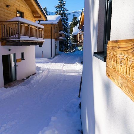 Luxalps- Turrach Alm Chalets Nr 1-4 Gruensee- Sauna- Skifahren- Wandern- Natur Turracher Hohe エクステリア 写真
