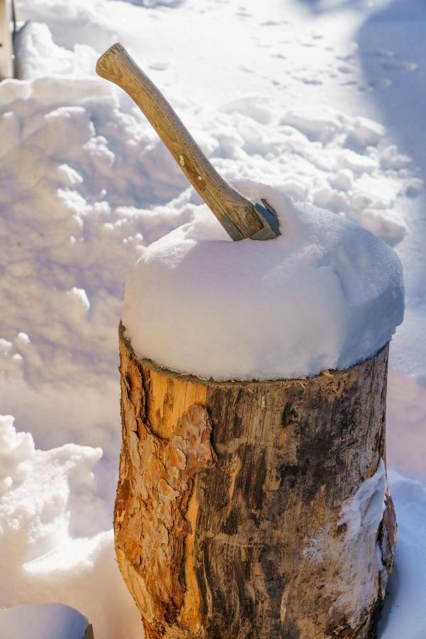 Luxalps- Turrach Alm Chalets Nr 1-4 Gruensee- Sauna- Skifahren- Wandern- Natur Turracher Hohe エクステリア 写真