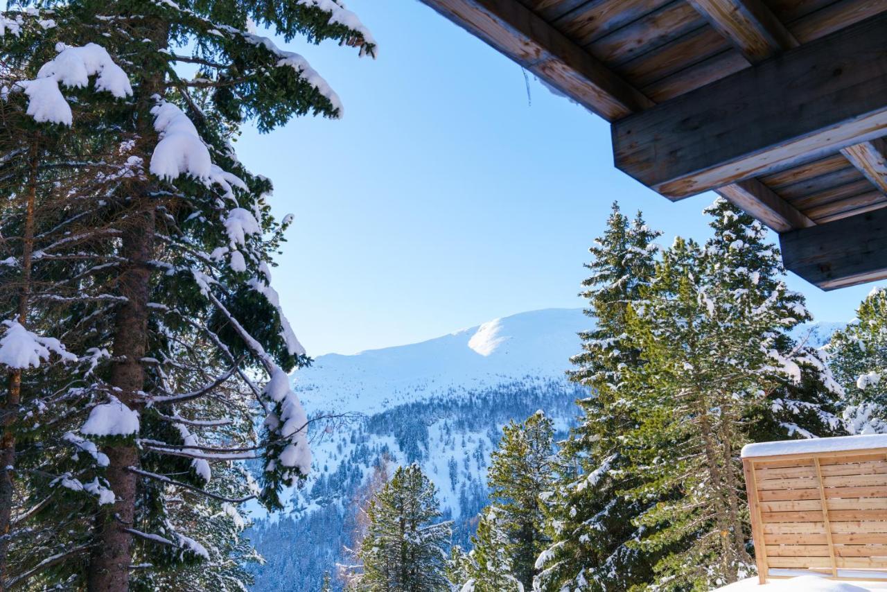Luxalps- Turrach Alm Chalets Nr 1-4 Gruensee- Sauna- Skifahren- Wandern- Natur Turracher Hohe エクステリア 写真