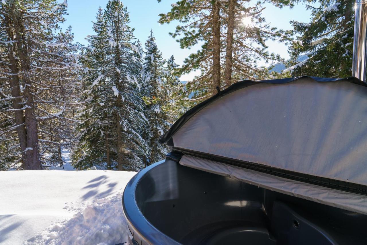Luxalps- Turrach Alm Chalets Nr 1-4 Gruensee- Sauna- Skifahren- Wandern- Natur Turracher Hohe エクステリア 写真