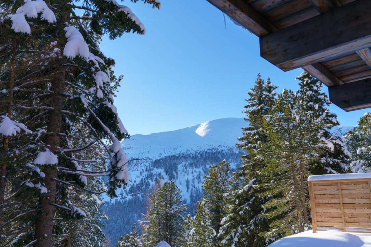 Luxalps- Turrach Alm Chalets Nr 1-4 Gruensee- Sauna- Skifahren- Wandern- Natur Turracher Hohe エクステリア 写真